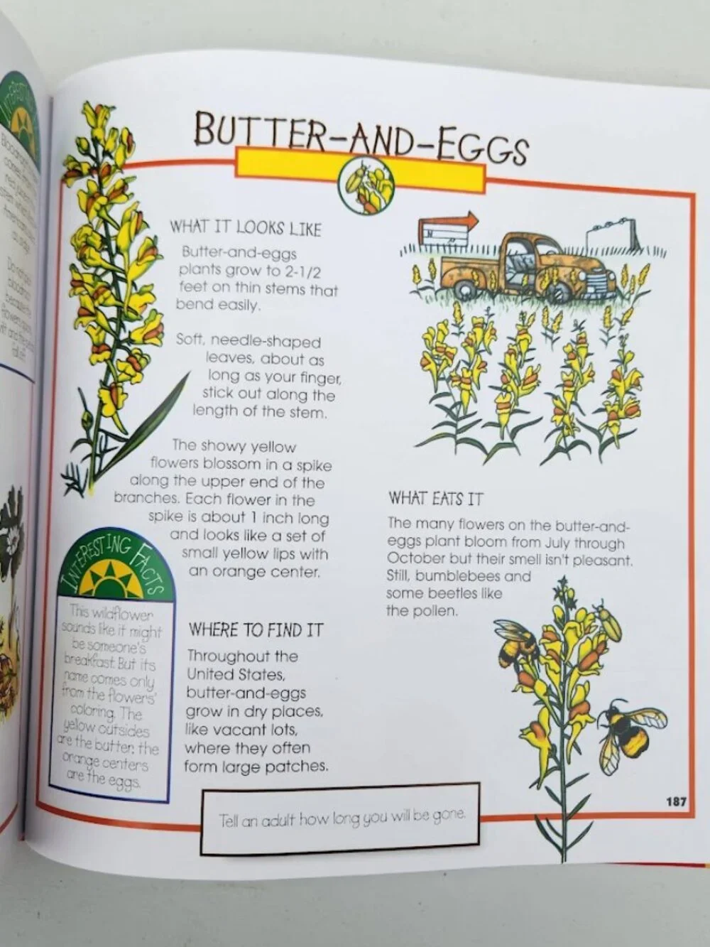 More Fun With Nature Take Along Guides Hardcover Book Activity Journal Craft Wor